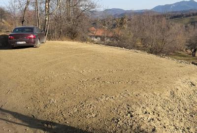 Spațiu comercial, în Bran - 5