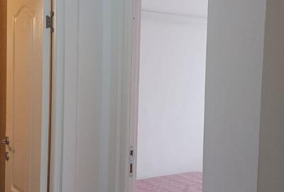 Apartament cu 2 camere decomandat, mobilat în Dristor - 15