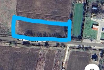 Spațiu comercial, în Proaspeți - 1