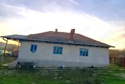 Casă cu Teren 4443 Mp în Pleșoiu (Nicolae Bălcescu) - 7