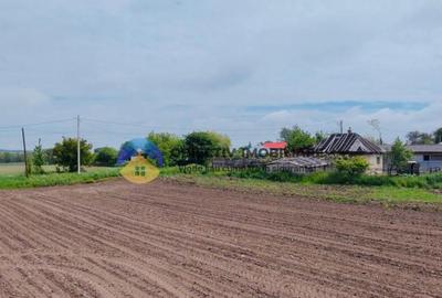 Teren- Com. Stefan cel Mare- jud. Neamt - 8