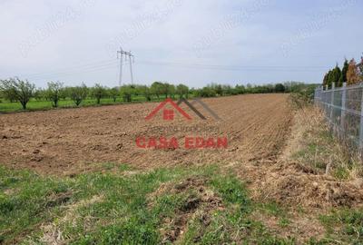 Teren de 2400 mp, în Câmpina