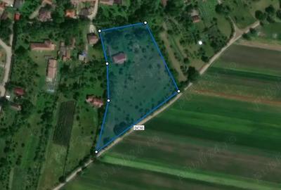 De vanzare Conacul istoric Apor din Zalan, cu teren de 15.691 m - 10