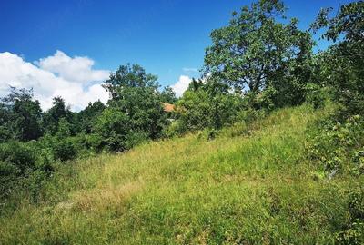 Teren de 37500 mp, în Barbura - 7