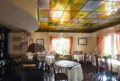 Pensiune de inchiriat, 450 mp, zona Lugojului Pensiune de inchiriat, 450 mp, zona Lugojului - 8