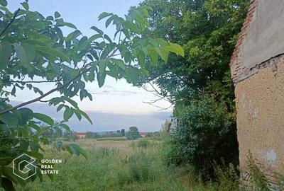 Casă cu 3 camere cu Teren 3147 Mp în Birchiș - 2