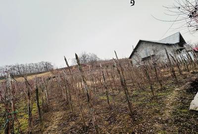 Teren intravilan - 3