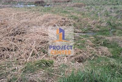 Teren Stalpeni, zona Livezeni, la DN, intravilan, 4000 mp - 2