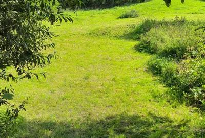 Teren ideal pentru investitie - 5