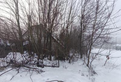 Teren intravilan , 5000mp, zona Negostina, Siret - 3