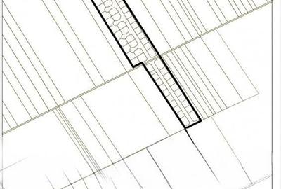 Teren Construcții de 45602 mp, în Frumușani - 9