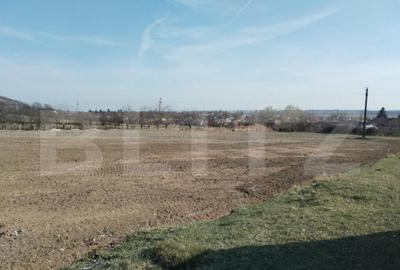 Teren intravilan cu suprafa?a de 9ha, Aninoasa - 2