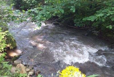 Vindem casa din grinzi pe malul paraului - 1