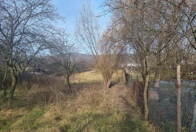 Casa de vanzare central  in Fagaras - 16