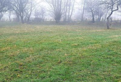 Spațiu comercial, în Sohodol - 5