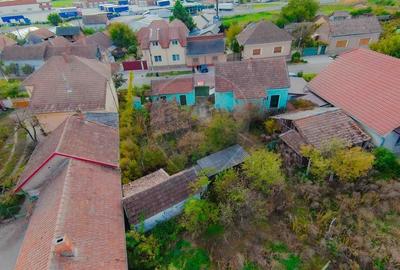 De vanzare casa cu teren de 3036 mp in Bors - 18