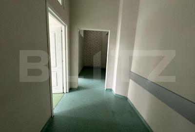 Spatiu comercial de inchiriat 330mp utili vad bun diverse destinatii - 4