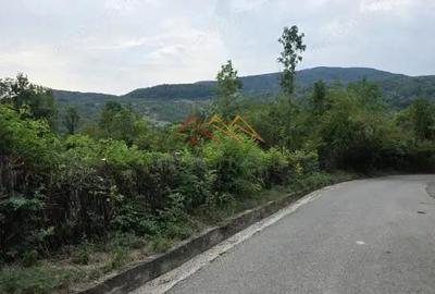 Teren Intravilan, utilitati in zona, 2600 mp, Draganeasa, Prahova - 6