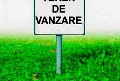 Teren 620 mp cu front de 20 m, Sacalaz, cutoate utilitatile la poarta Teren 620 mp cu front de 20 m, Sacalaz, cutoate utilitatile la poarta - 1