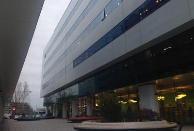 Spatii comerciale de inchiriat in One North Gate - 4