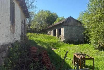 Casă cu 3 camere în Teiu - 8