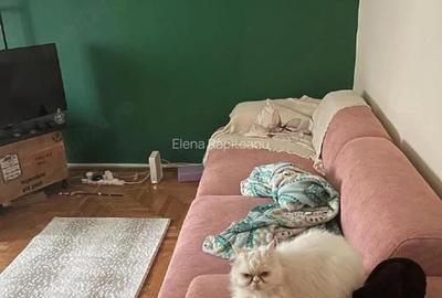 Apartament cu 2 camere decomandat în Dorobanți - 1