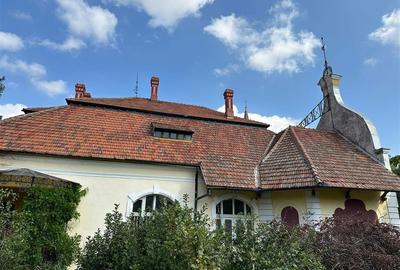 Conac Unicat Timis - 18