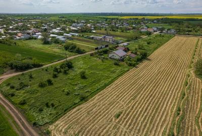 FRUMUSANI - POSTAVARI, TEREN 1500 MP, FRONT 30 M ! - 19