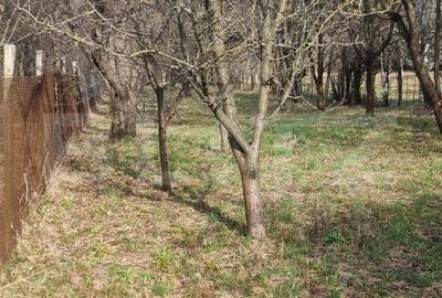 Casă cu 4 camere cu Teren 3800 Mp în Central - 4