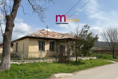 Casă cu 2 camere cu Teren 1167 Mp în Ciucurova - 3