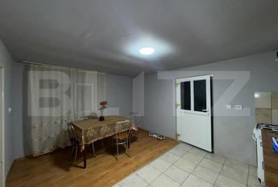 Casă cu 4 camere cu Teren 5594 Mp în Criș - 9