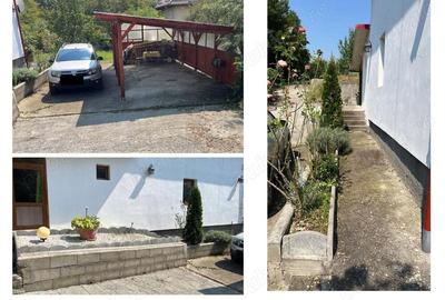 Casa de vanzare in Buzias, zona parc - 10