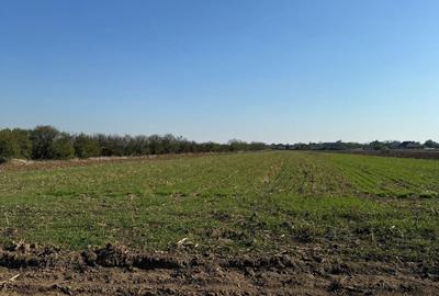 Teren Construcții intravilan de 20000 mp, în Est - 1