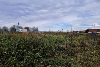 Teren constructie hala/depozit/mica insdustrie/service auto, Halchiu - 4