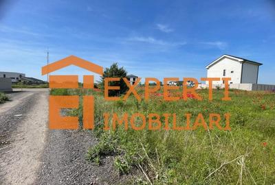 Teren intravilan in KM 5, la VETERANI - PRELUNGIREA TRACTORULUI - 16