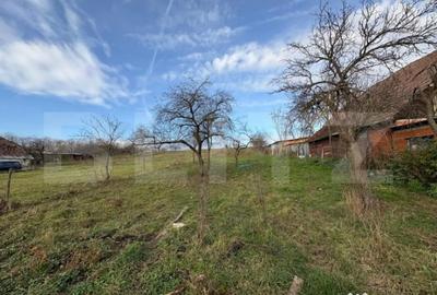 Casă cu 2 camere cu Teren 5000 Mp în Sud - 5