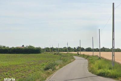 Teren de 668 mp, în Vasilați - 3