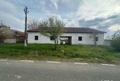 Casă cu 6 camere în Lugoj