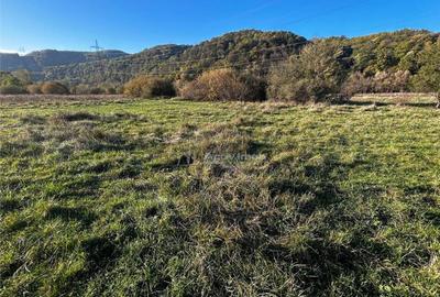 Bocsa Teren Intravilan 2754 Mp. - 8