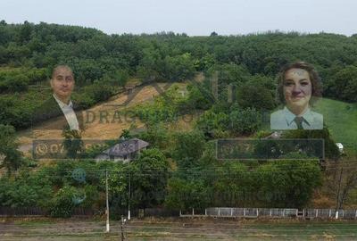 Teren intravilan cu utilita?i 3.000 mp / lot Sl... - 6