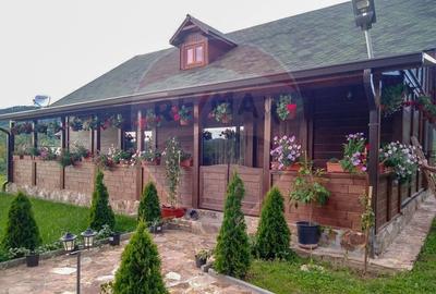 Casă individuală cu 5 camere cu Canalizare în Ribița - 23