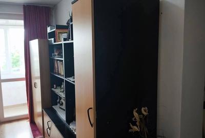 Apartament de vanzare Lovrin - 3