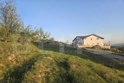 Teren de 1150 mp, în Sălicea - 3