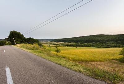 Teren Construcții intravilan de 11500 mp, în Lăzăreni - 3