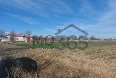 Teren de 550 mp, în Pârvu Roșu - 4