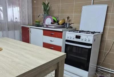 Casă cu 3 camere în Mica - 3