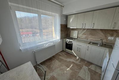 Garsonieră decomandată, mobilată în Frumoasa - 4