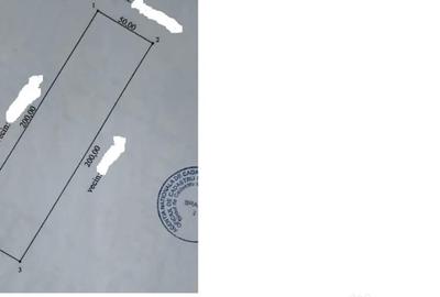 Teren de 10000 mp, în Central - 2