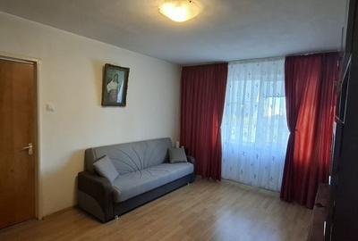 Apartament cu 2 camere semidecomandat în Ozana - 3