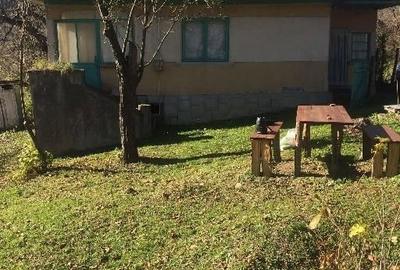 Teren de 5265 mp, în Teișani - 6
